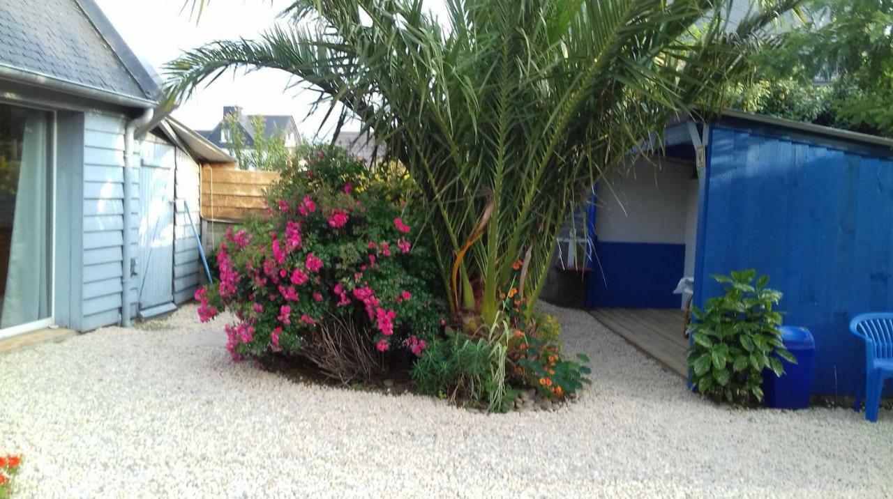 Le Petit Cottage Entre Village Et Mer Trélévern 외부 사진