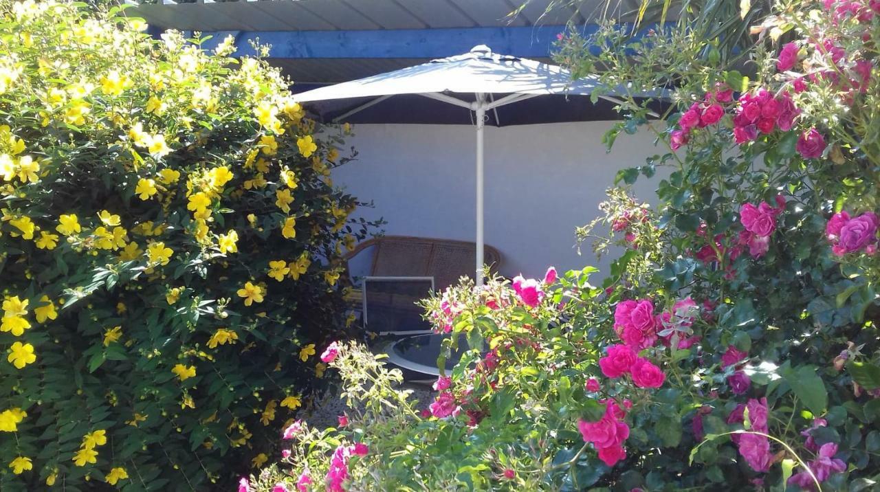 Le Petit Cottage Entre Village Et Mer Trélévern 외부 사진