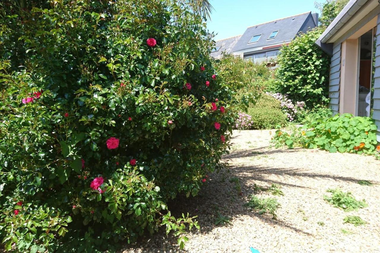 Le Petit Cottage Entre Village Et Mer Trélévern 외부 사진